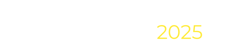 Panorama Digital Analytics 2025